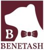 Benetash_logo1.jpg