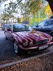 IMG_20240921_185246.jpg