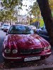 IMG_20240921_185237.jpg