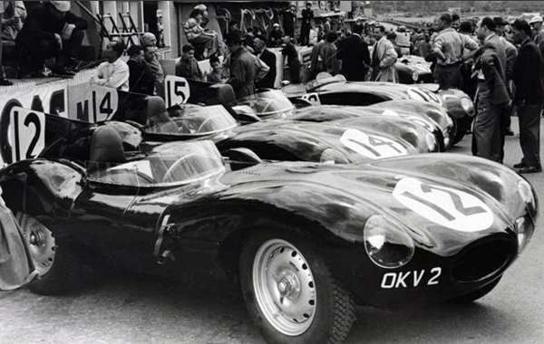 Jaguar D-type / XK-SS