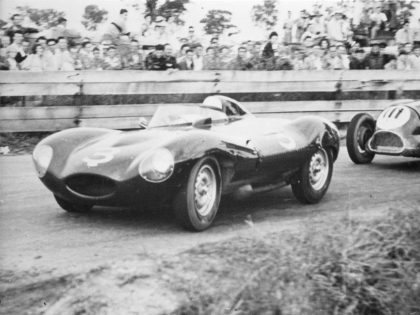 Jaguar D-type / XK-SS